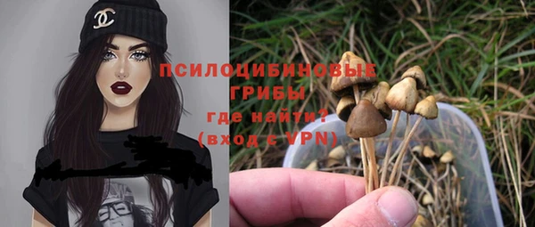 гашиш Богородицк