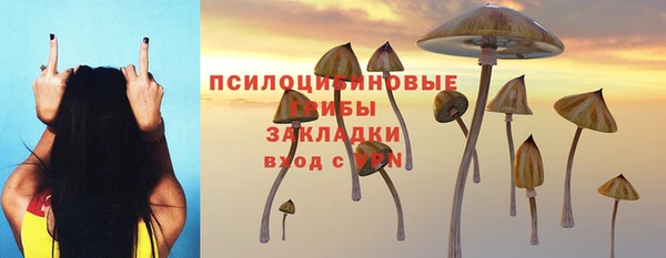a pvp Белокуриха