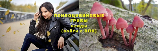 a pvp Белокуриха
